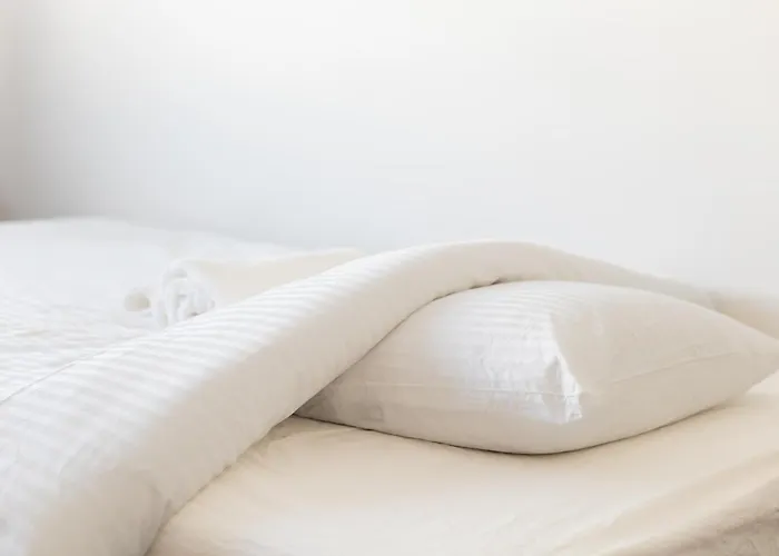 Cozy In The Middle Of